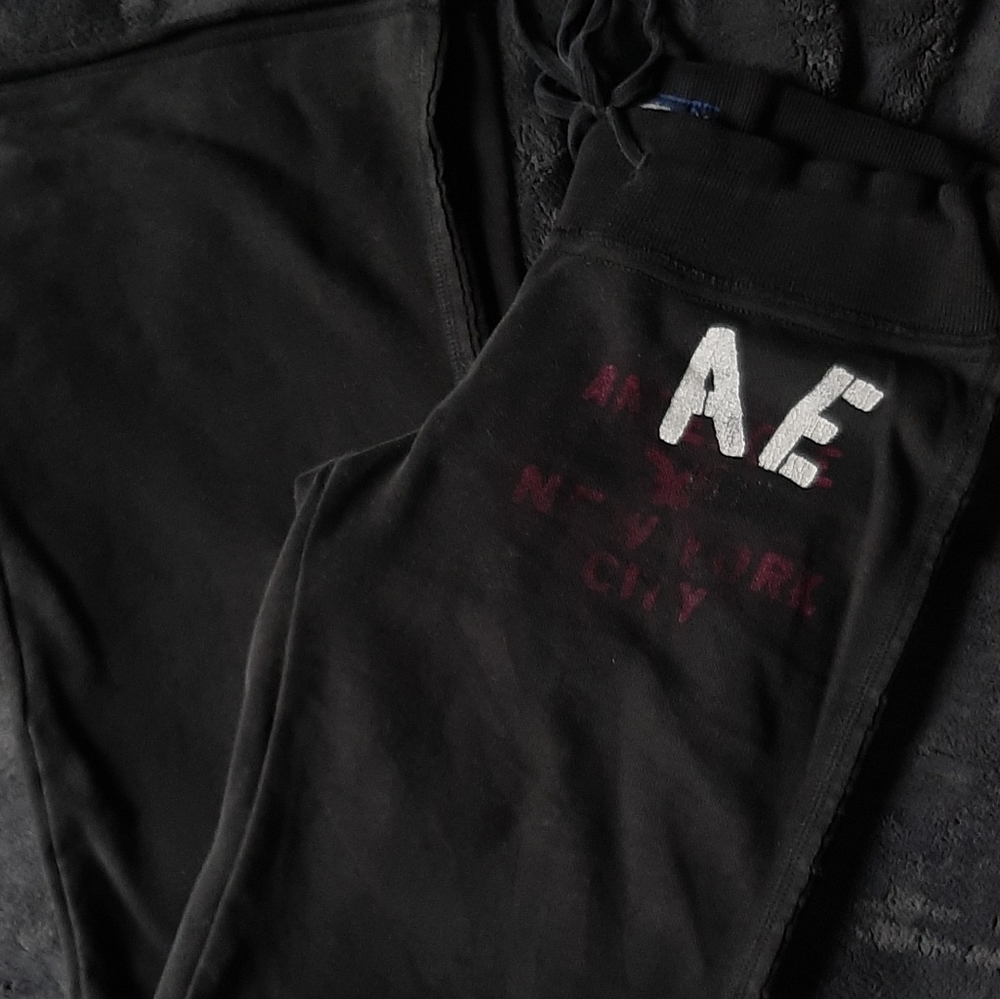 American Eagle wide leg sweatpants